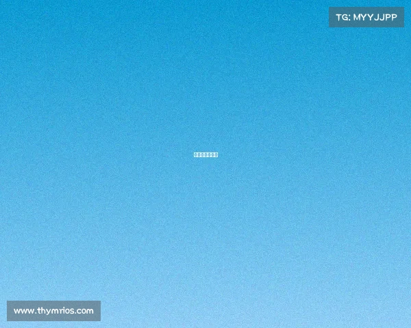 沙漠越野车项目